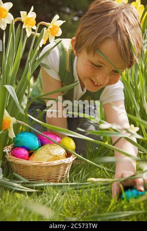 Smiling boy finding Easter egg candy among daffodils Stock Photo