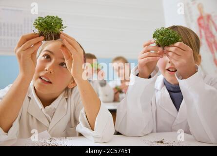 Curious junior high school students examining plants in science laboratory Stock Photo