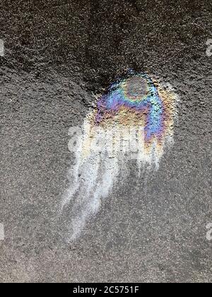 Colorful oil spill on wet pavement Stock Photo - Alamy