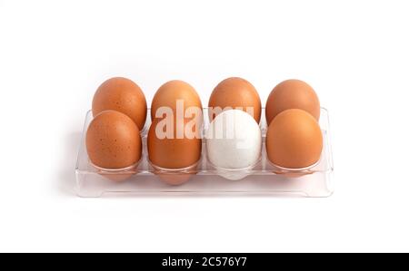 Egg, fresh chicken egg and duck egg in plastic box isolated on white background. Stock Photo