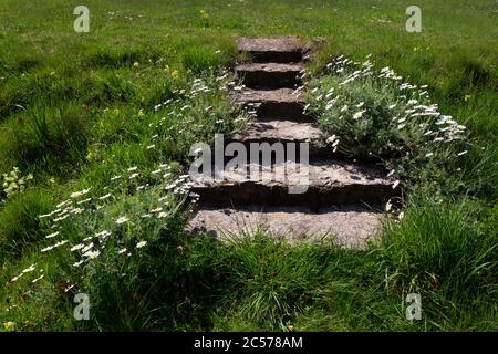 Stone Garden Steps,English garden Stock Photo