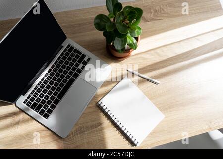 Laptop, plant in a pot, blank paper notebook with pencil on wooden table Stock Photo