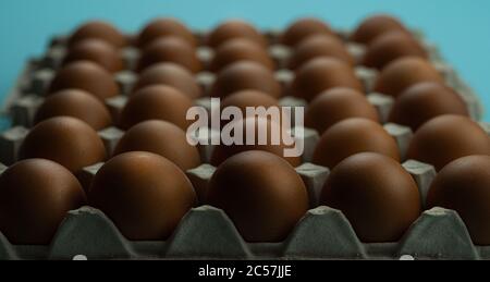 A box of eggs on a blue background Stock Photo