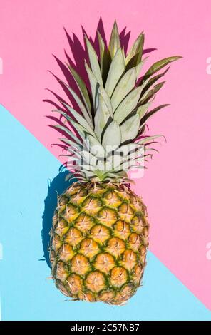 Pineapple on pink and blue background with the shadow Stock Photo