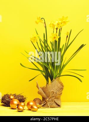 easter golden egg in broken shell, eggshell in bird nest, spring narcissus flower on green stem in burlap on yellow background, luxury and success, womens or mothers day, banking and finance, business Stock Photo