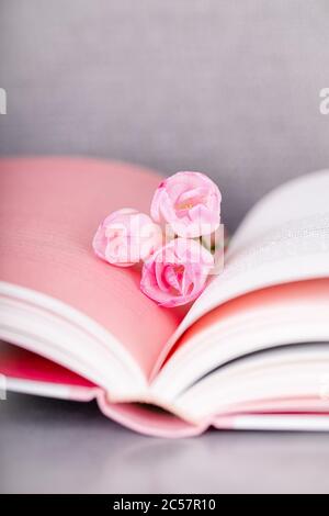 Pink freesia flowers on an open book. Gray background, copy space Stock Photo