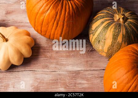 Autumn still life with different pumpkins Stock Photo