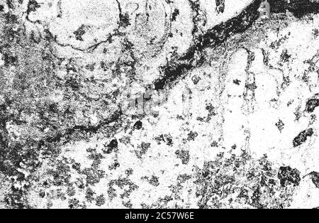 Crackle paint overlay. Vector black and white grunge pattern made from  natural oil paint crackle. Cool texture of cracks, stains, scratches,  splash, etc for print and design. EPS10. Stock Vector