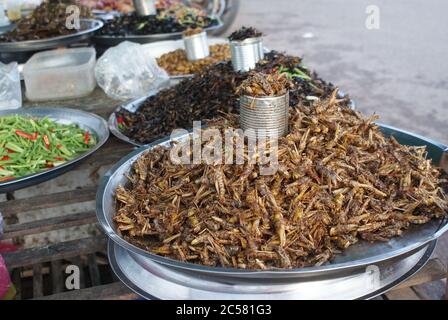 Cambodian food, traditions and nature. City Siem Reap and suburbs. Unusual vacations. Stock Photo