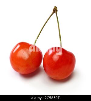 twin cherries isolated on white background Stock Photo