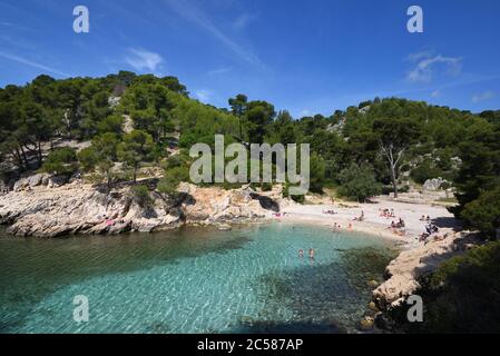 Sandy Cove with Beach & Pine Trees at Calanque Port-Pin Calanques National Park Cassis Provence France Stock Photo