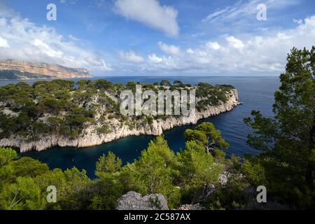 Calanque Port-Pin &, in distance, Cap Canaille Cape or Headland & Mediterranean Sea at Cassis in the Calanques National Park Provence France Stock Photo
