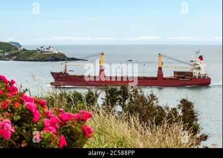 Weavers Point, West Cork, Ireland. 1st July, 2020. On an overcast but warm and humid day, general cargo ship 'Gala', sails past Roches Point at the entrance to the Port of Cork heading into the heart of Cork City to South Jetties. Credit: AG News/Alamy Live News Stock Photo