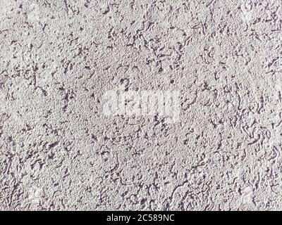 The texture of the plaster is bark beetle on the wall. Seamless white texture. Stock Photo