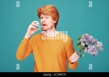 Young redhead man with beard having asthma using inhaler and holding lilac twigs against blue background Stock Photo