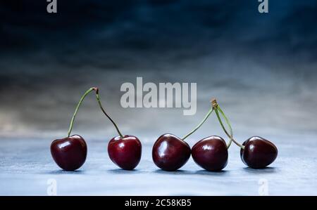 Close-up of ripe juicy dark red and black sweet cherries. Five sweet cherries in a row on blue surface. Horizontal background with copy space. Healthy Stock Photo