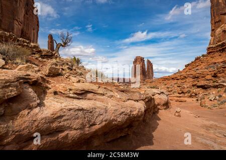 Stunning view of The Organ sandstone structure in the distance seen from the Park Avenue Trail, Arches National Park, Moab, Utah Stock Photo
