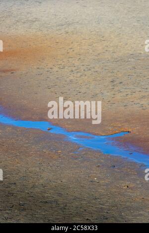 Vivid, metallic blue stream of water running across a multi-coloured, iridescent sandy beach, Abel Tasman, New Zealand Stock Photo
