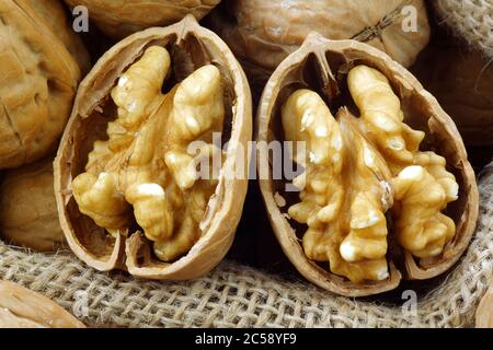 fresh walnuts in a burlap bag e on a white background Stock Photo
