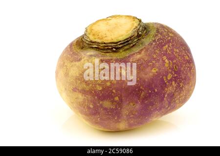 fresh turnip on a white background Stock Photo