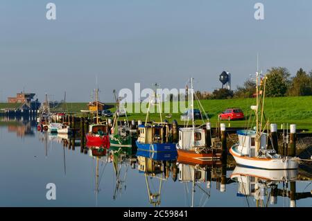 Friedrichskoog: Shrimp boats and fishing cutters in former harbour (till 2015), district of Dithmarschen, Schleswig-Holstein, Germany Stock Photo