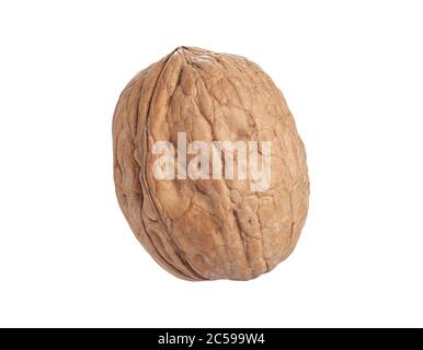 Single whole walnut isolated on white background with clipping path Stock Photo