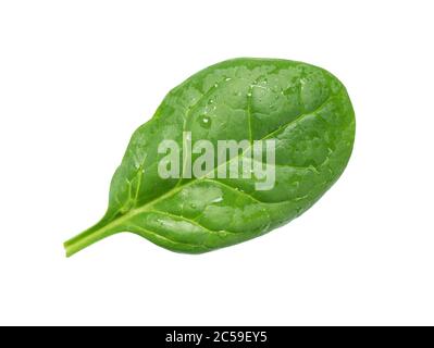spinach leaf isolated on a white background with clipping path. Top view Stock Photo