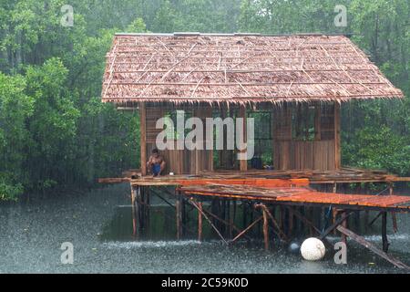 Indonesia, Papua, Piaynemo (Penemu), Raja Ampat Islands, traditional house under construction in the rain Stock Photo