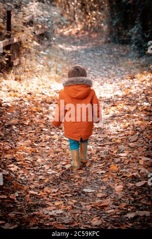 A small boy in  winter clothing walking on brown leaves in a forest during autumn or fall