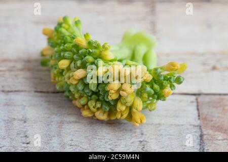Yellowing calabrese broccoli Stock Photo