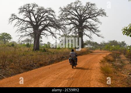 Africa, West Africa, Benin, Natitinqou. A man on a scooter walks along a dirt road in northern Benin. Stock Photo