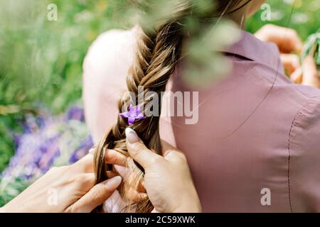 Girl braids a flower in a braid on nature Stock Photo