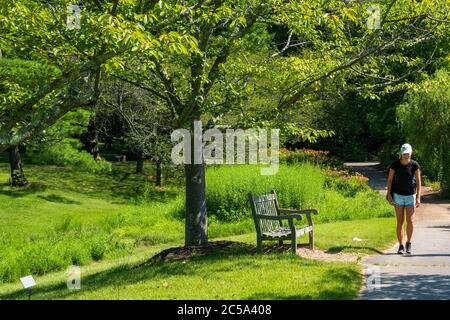 A young woman wearing a baseball cap takes a walk in the park on a summer morning. Stock Photo