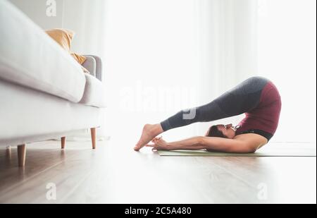 Young graceful Woman enjoying morning yoga exercises doing Halasana pose at home living room near the big window. Active people, body care and healthy Stock Photo
