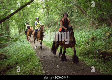 Horse riders riding the bridle path in Benthall Woods in Shropshire, England, Uk Stock Photo