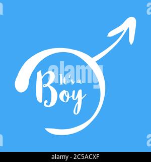 Its a boy - baby shower invitation template. Calligraphic text in the hand-drawn male gender sign. Baby born announcement template. Simple flat white vector illustration on blue background. Stock Vector