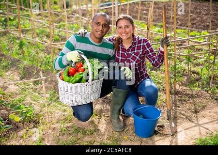Portrait of cheerful loving biracial couple of amateur gardeners proud of harvest of vegetables grown at their smallholding Stock Photo