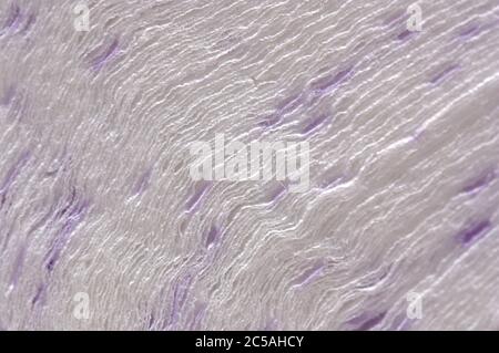 Macro photography of a section of white fluffy paper with purple spots Stock Photo