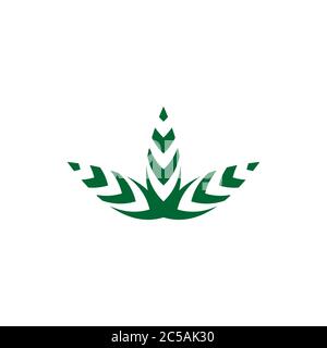 Green leaf graphic vector, Marijuana cannabis logo design concept, isolated on white background. Stock Vector