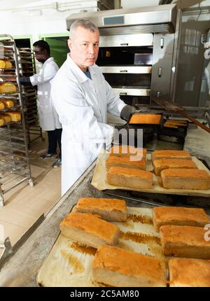 Baker working in small bakery, taking out freshly baked hot bread from baking pans Stock Photo