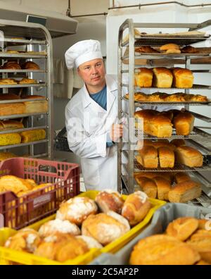 Experienced baker working in small bakery, carrying fresh baked bread on tray rack trolley Stock Photo