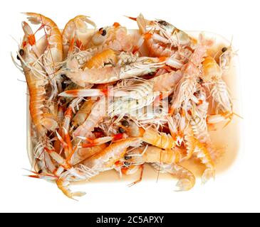 Seafood delicacy, heap of fresh Norway lobster on ice. Isolated over white background Stock Photo
