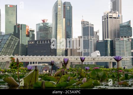 Panoramic Architecture View Botanic Garden Singapore Novemver 2018 Stock Photo Alamy