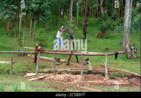 Rwandan workers building a house with traditional saw and timber Stock Photo
