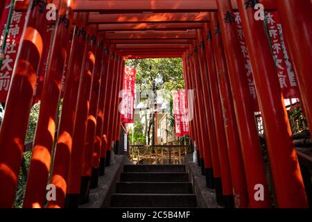 Torii row at Hie shrine. Tokyo, Japan Stock Photo