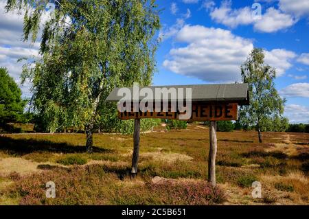 Nemitz heath (Nemitzer Heide) in nature park Elbhöhen-Wendland, Lüchow-Dannenberg district, Lower Saxony, Germany Stock Photo