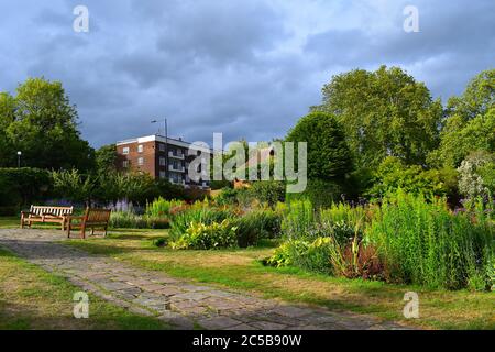 Cricklewood north west London park. Empty benches surrounded by lush greenery and exotic flowers. Social distancing across UK Meeting people outdoors. Stock Photo