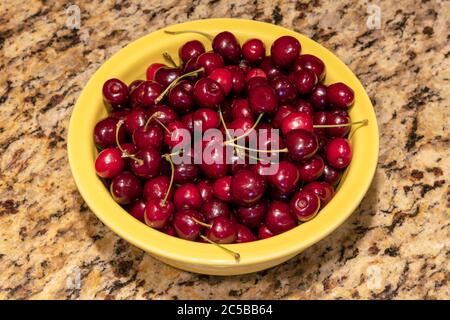 Bowl of Michigan Sweet Cherries, Hedelfingen (German), variety, USA, by James D Coppinger/Dembinsky Photo Assoc Stock Photo