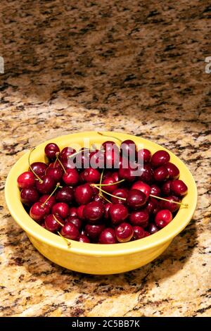 Bowl of Michigan Sweet Cherries, Hedelfingen (German), variety, USA, by James D Coppinger/Dembinsky Photo Assoc Stock Photo