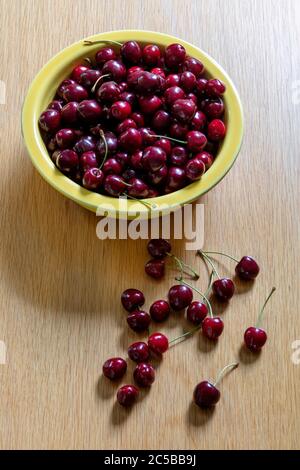 Bowl of Michigan Sweet Cherries, Hedelfingen (German), variety, USA, by James D Coppinger/Dembinsky Photo Assoc Stock Photo